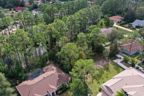 Terreno en venta en Palm Coast, Florida № 1688470 - foto 6