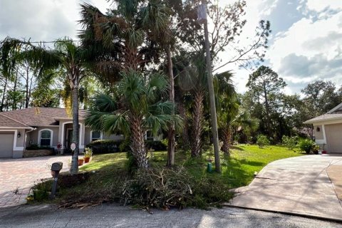 Terreno en venta en Palm Coast, Florida № 1688470 - foto 13