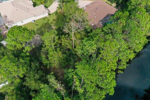 Terreno en venta en Palm Coast, Florida № 1688470 - foto 2