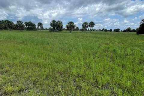 Land in Placida, Florida № 2162782 - photo 7
