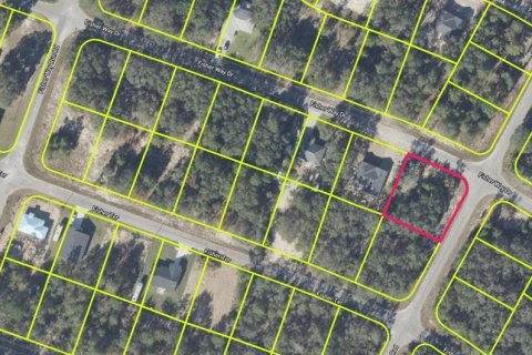 Land in Ocklawaha, Florida № 2220299