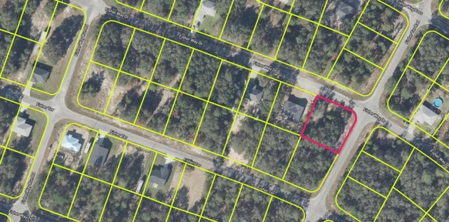 Land in Ocklawaha, Florida № 2220299