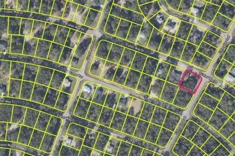 Land in Ocklawaha, Florida № 2220299 - photo 2
