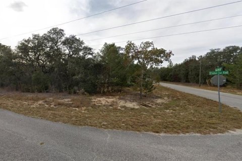 Land in Ocklawaha, Florida № 2220299 - photo 3