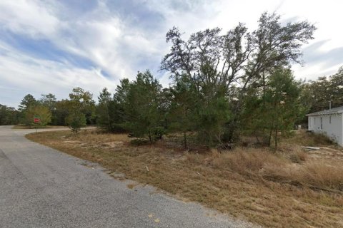 Land in Ocklawaha, Florida № 2220299 - photo 4