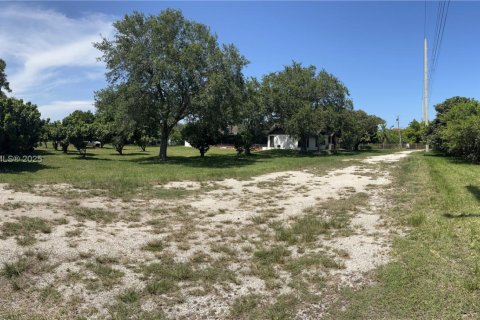 Commercial property in Homestead, Florida № 1768644 - photo 9