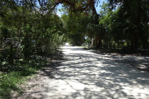 House in New Port Richey, Florida 1 bedroom, 37.16 sq.m. № 1778695 - photo 10