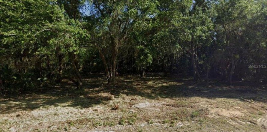 Land in Port Charlotte, Florida № 2160453