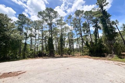 Terrain à Eustis, Floride № 2106187