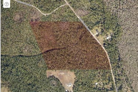 Land in Deltona, Florida № 1765819 - photo 5