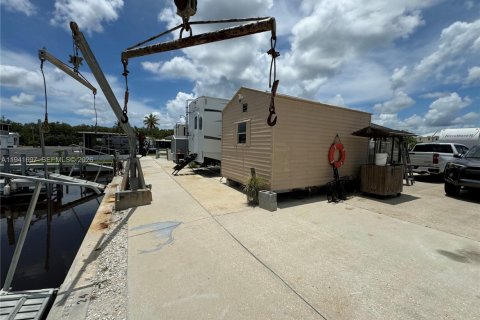Terrain à vendre à Everglades, Floride № 1998932 - photo 4