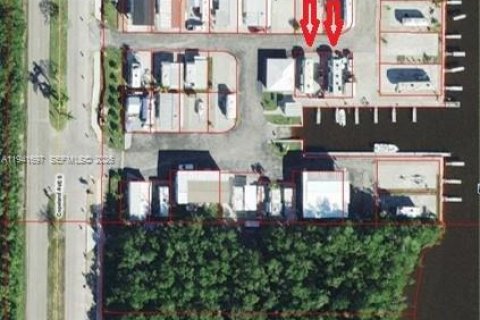 Terrain à vendre à Everglades, Floride № 1998932 - photo 10