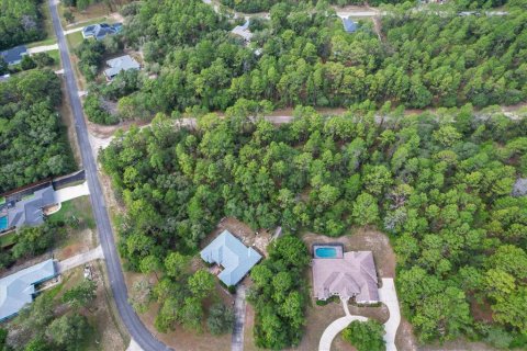 Land in Citrus Springs, Florida № 2162001 - photo 12