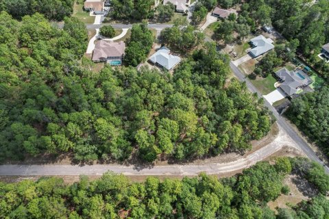 Land in Citrus Springs, Florida № 2162001 - photo 10