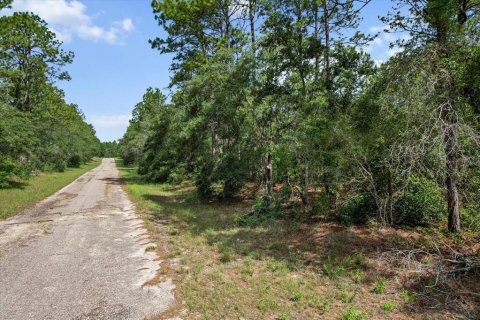 Land in Citrus Springs, Florida № 2162001 - photo 5