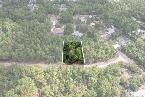 Land in Citrus Springs, Florida № 2162001 - photo 2