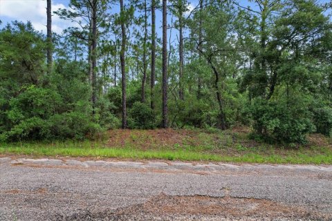 Land in Citrus Springs, Florida № 2162001 - photo 6