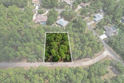 Land in Citrus Springs, Florida № 2162001