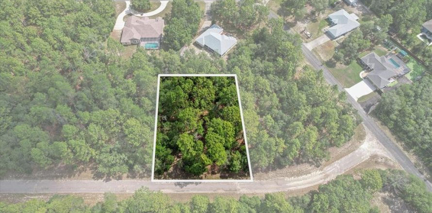 Land in Citrus Springs, Florida № 2162001