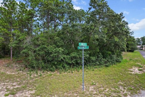 Land in Citrus Springs, Florida № 2162001 - photo 7