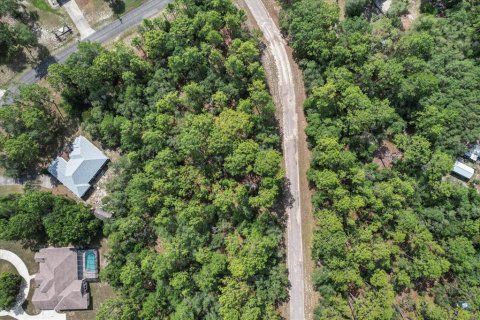 Land in Citrus Springs, Florida № 2162001 - photo 8