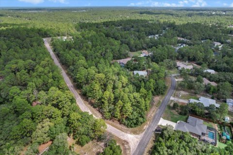 Land in Citrus Springs, Florida № 2162001 - photo 11