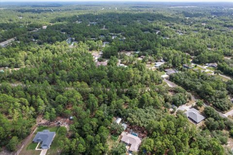 Land in Citrus Springs, Florida № 2162001 - photo 14