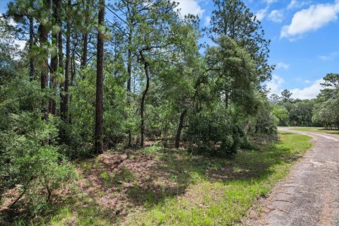 Land in Citrus Springs, Florida № 2162001 - photo 4