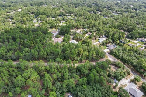 Land in Citrus Springs, Florida № 2162001 - photo 13