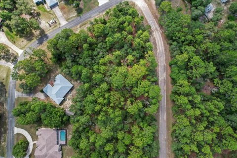 Land in Citrus Springs, Florida № 2162001 - photo 9