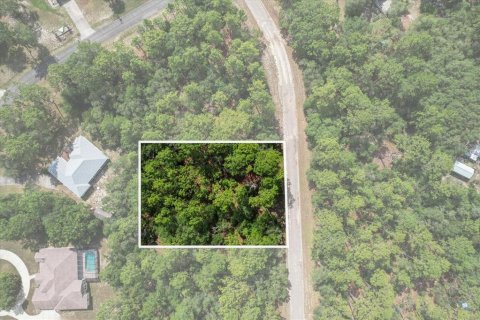 Land in Citrus Springs, Florida № 2162001 - photo 3