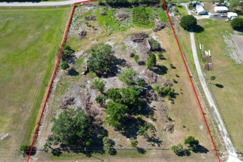 Immobilier commercial à louer à Okeechobee, Floride № 1216202 - photo 1