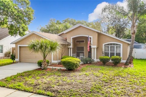 House in Valrico, Florida 3 bedrooms, 157.1 sq.m. № 2218390