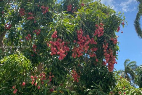 House in Boca Raton, Florida 3 bedrooms № 2066527 - photo 3