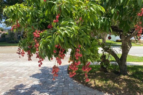 House in Boca Raton, Florida 3 bedrooms № 2066527 - photo 1