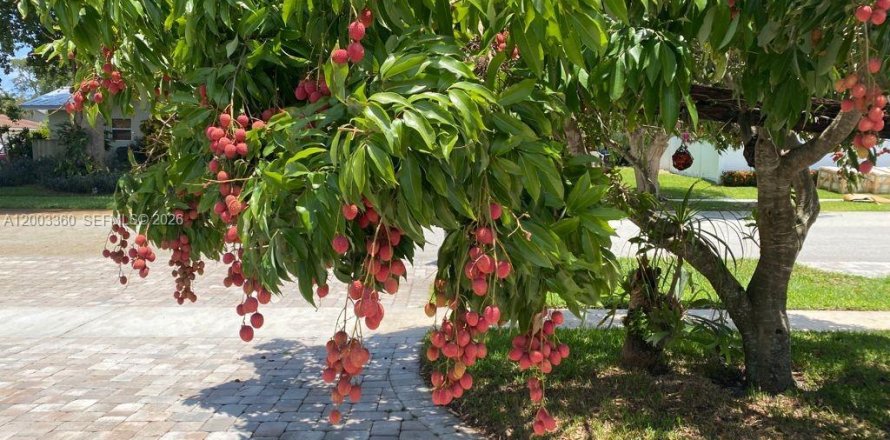 House in Boca Raton, Florida 3 bedrooms № 2066527