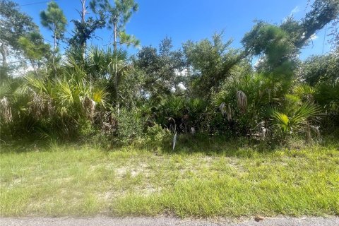 Land in Port Charlotte, Florida № 2236743