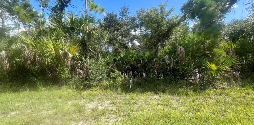 Terreno en Port Charlotte, Florida № 2236743