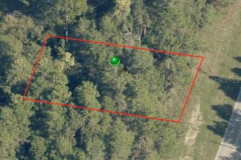 Land in Citrus Springs, Florida № 2224002 - photo 2