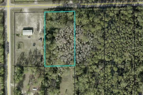 Land in Bunnell, Florida № 2165129