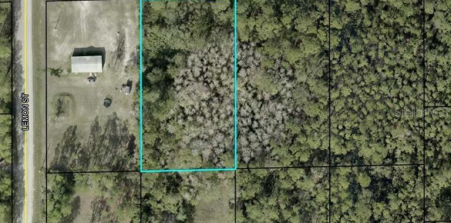 Land in Bunnell, Florida № 2165129