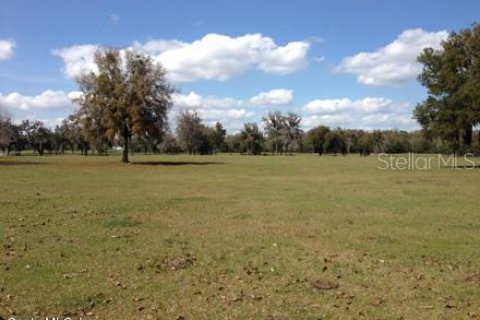 Terrain à vendre à Ocala, Floride № 213242 - photo 6