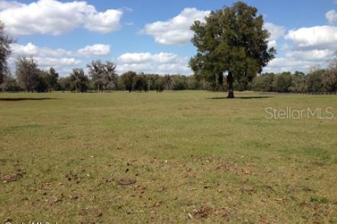 Terrain à vendre à Ocala, Floride № 213242 - photo 5