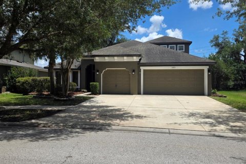 House in Fish Hawk, Florida 4 bedrooms, 300.07 sq.m. № 2220527