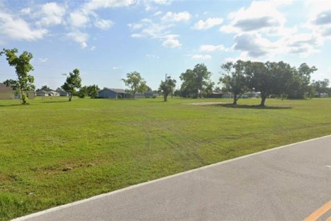 Land in Punta Gorda, Florida № 2106081 - photo 3