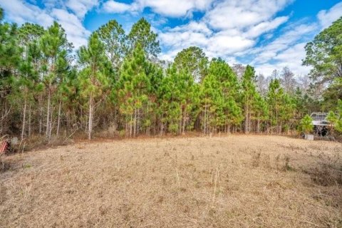 House in Groveland, Florida 3 bedrooms, 111.11 sq.m. № 2098886 - photo 4