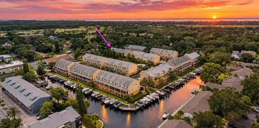 Touwnhouse à Tarpon Springs, Floride 3 chambres, 169.83 m2 № 2418996