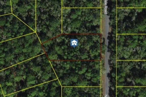 Terreno en Dunnellon, Florida № 2161281