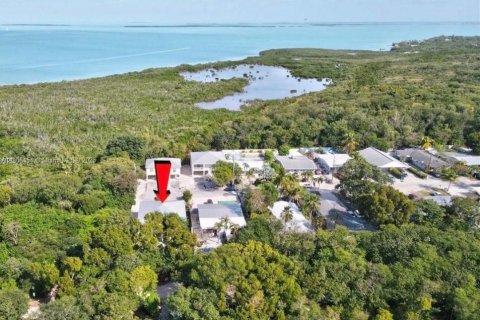 House in Tavernier, Florida 2 bedrooms, 82.78 sq.m. № 1956862 - photo 4