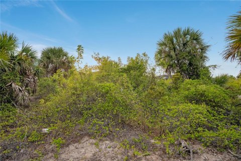 Terrain à vendre à Port Charlotte, Floride № 2210767 - photo 6
